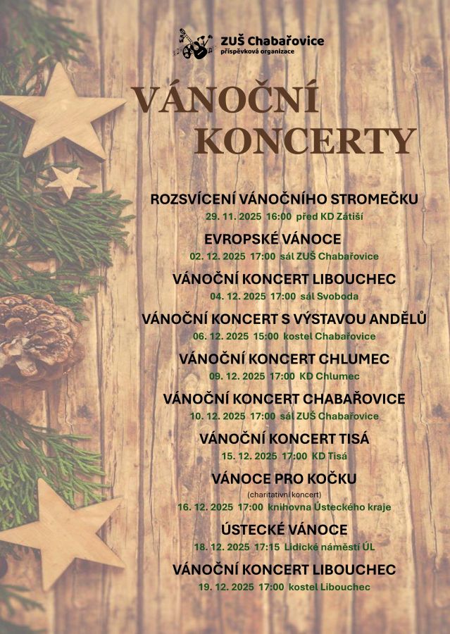 VÁNOČNÍ AKCE - KONCERTY 2025